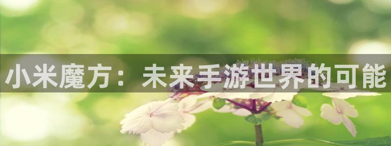 奇亿娱乐游戏：小米魔方：未来手游世界的可能