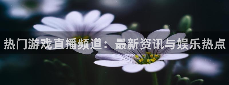 奇亿娱乐平台登录入口：热门游戏直播频道：最新资讯与娱乐热点
