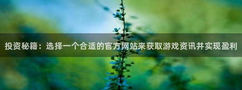 奇亿娱乐科技：投资秘籍：选择一个合适的官方网站来获取游戏资讯