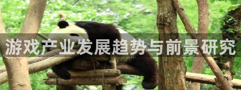 奇亿娱乐2首页登录：游戏产业发展趋势与前景研究