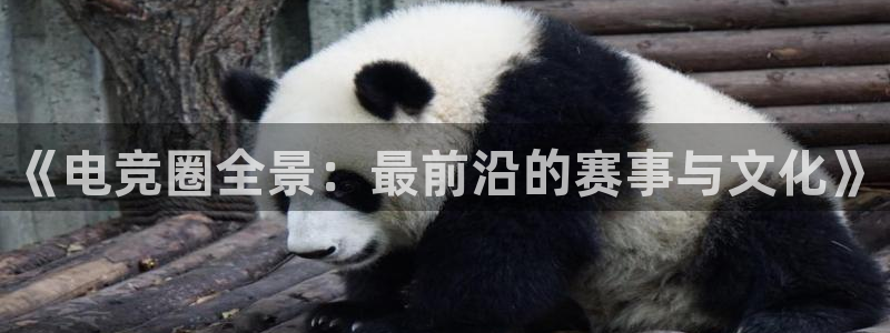 奇亿娱乐科技：《电竞圈全景：最前沿的赛事与文化》