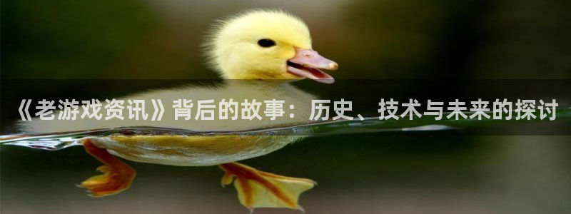 奇亿娱乐平台官方网站：《老游戏资讯》背后的故事：历史、技术与