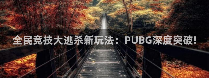 奇亿娱乐登录地址：全民竞技大逃杀新玩法：PUBG深度突破!