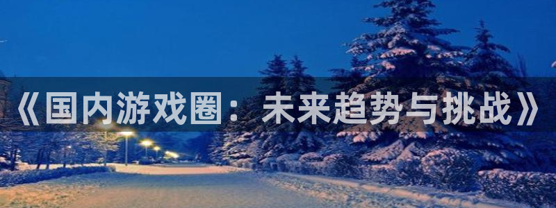 奇亿娱乐注册登录平台：《国内游戏圈：未来趋势与挑战》