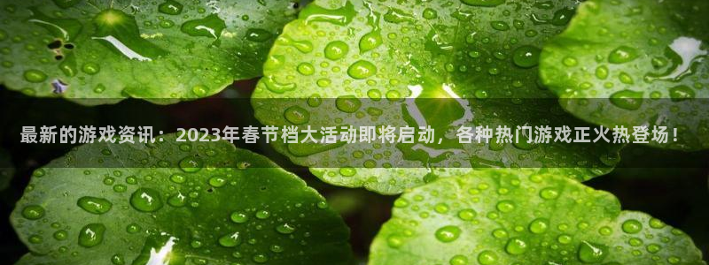 奇亿娱乐开户测速：最新的游戏资讯：2023年春节档大活动即将