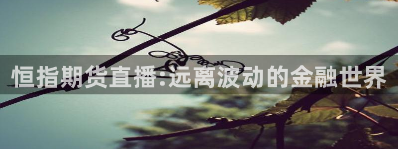 9255tv直播nba在线观看：恒指期货直播:远离波动的金融世界