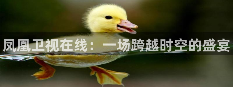 9255tv直播nba在线观看：凤凰卫视在线：一场跨越时空的盛宴