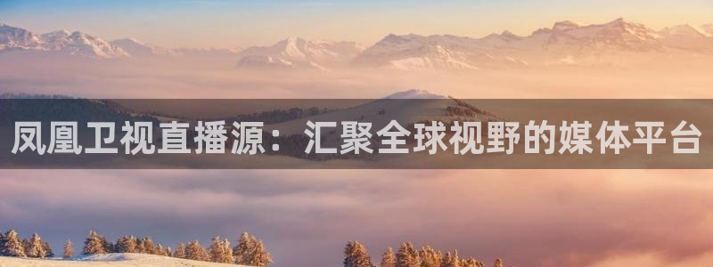 9255tv直播nba在线直播：凤凰卫视直播源：汇聚全球视野的媒体平台