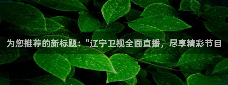 9255tv直播nba在线直播：为您推荐的新标题：\