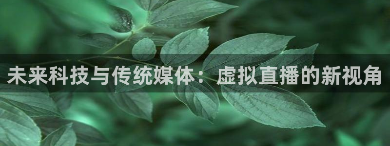 9255tv直播nba在线直播：未来科技与传统媒体：虚拟直播的新视角